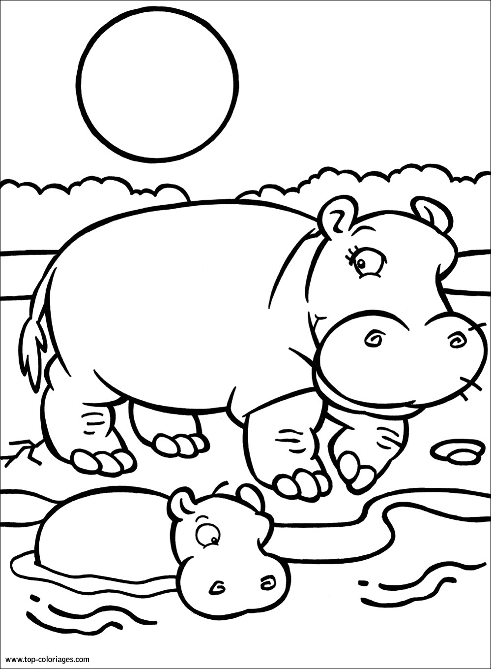 Hipopotamo раскраска для детей
