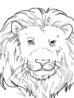 Coloriage de Gueule d'un lion